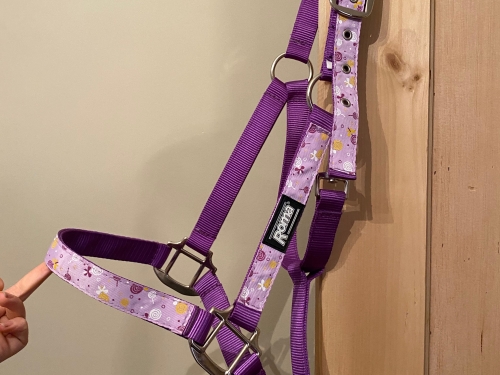 Full / XFULL headcollar